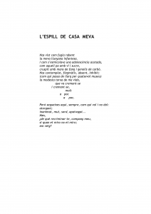 L'espill de casa meva